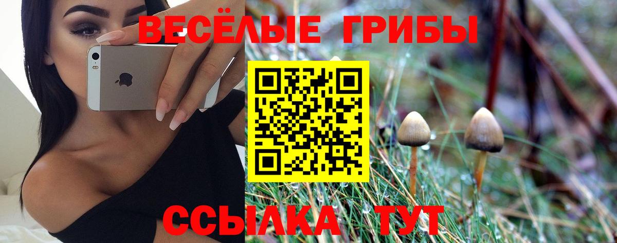 Псилоцибиновые грибы Magic Shrooms  купить наркоту  Будённовск  Вход с VPN 